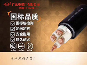 辐照交联聚乙烯绝缘电力电缆系列YJV，YJV22，YJ(F)E，YJ(F)E22，FYJV，FYJV22